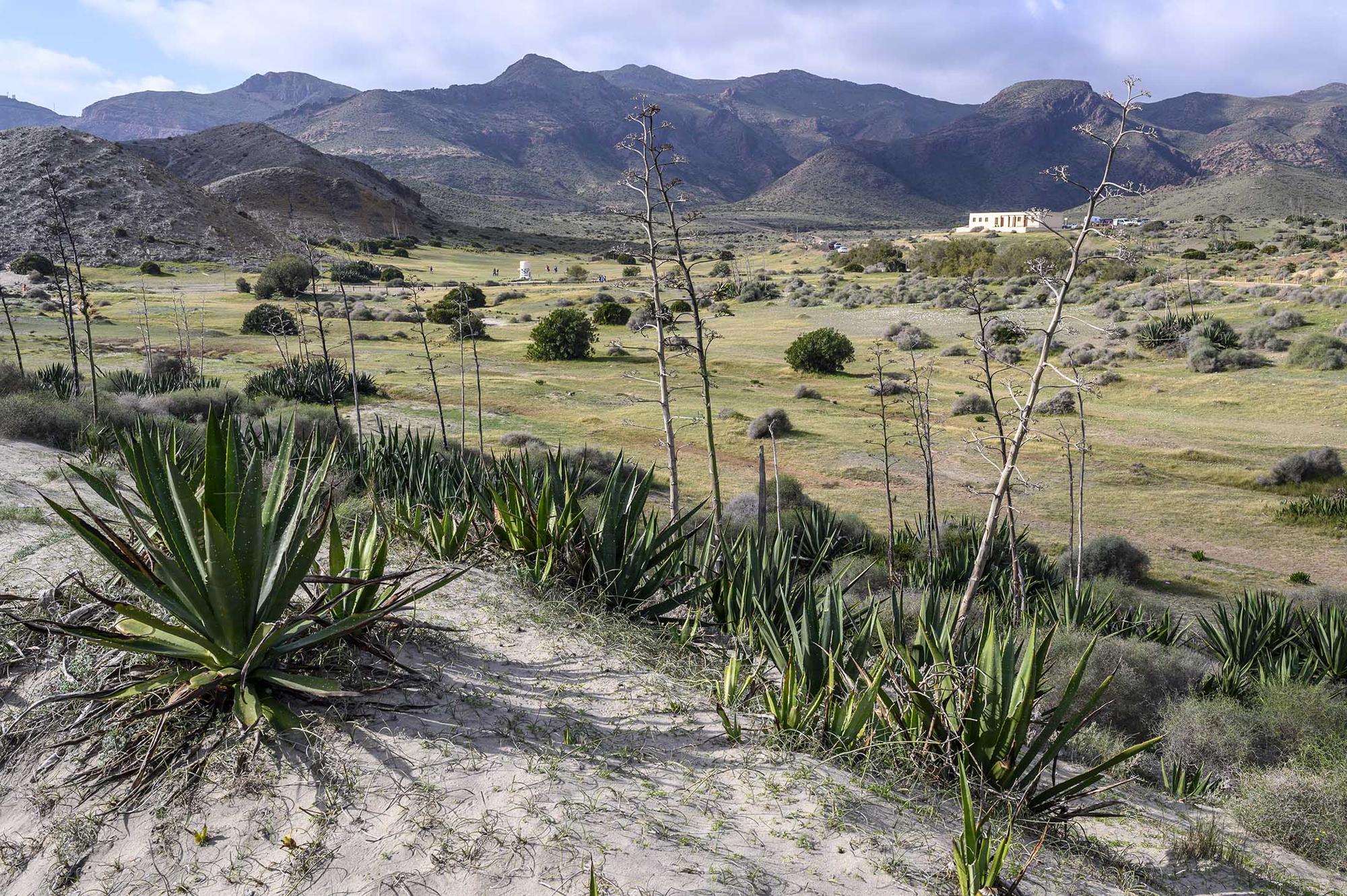 El ladrillo que araña el Cabo de Gata - 8